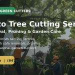 toronto tree cutting service: Expert Tree Cutting & Pruning Services in Toronto | Tree Green Cutters – (647) 846-0098: