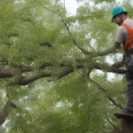 Signs Of Diseased Or Dying Trees: Complete 2026 Guide